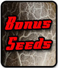 24 Bonus Seeds - £800 to £1000