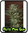 Auto Mini Gun