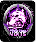 Auto Purple Dawg Mints