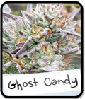 Ghost Candy