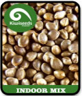 SALE - Indoor Mix - Kiwi Seeds