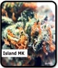 Island MK