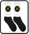 Seed City Socks