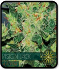 Vision Jack Auto