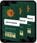 SALE - White Widow - Barneys Farm