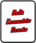SALE - Afgoo - Seed City Bulk Cannabis Seeds