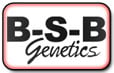 גנטיקה של BSB