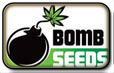 Bomb Семена