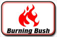 Burning Bush Barnehager