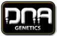 DNA遗传学种子