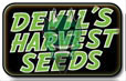 Paholaisen Harvest Seeds