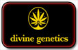 Božská genetika