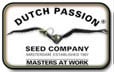 Hollandalı Passion Tohumlar