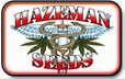 HazeMan Seeds