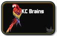 KC의 뇌