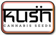 Las semillas de cannabis Kush