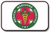 Medical Marijuana Genetik