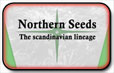Sjeverna sjemena