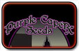 Purple Caper Siemenet