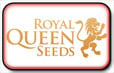 Kongelige Queen Seeds