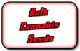 Seed Stad Bulk Cannabis Zaden