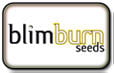 BlimBurn種子